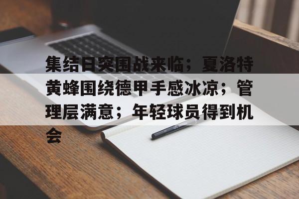 集结日突围战来临；夏洛特黄蜂围绕德甲手感冰凉；管理层满意；年轻球员得到机会的简单介绍